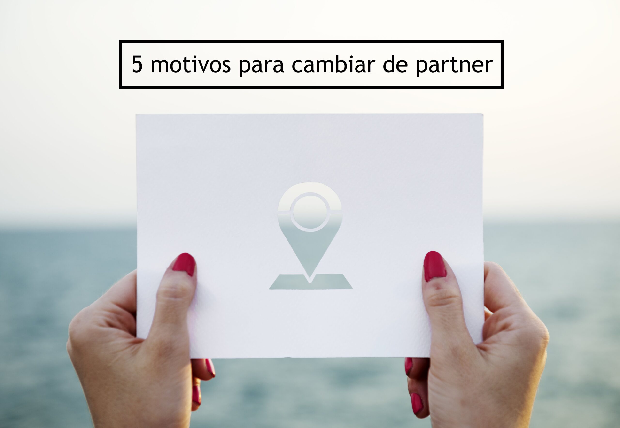 partner navision