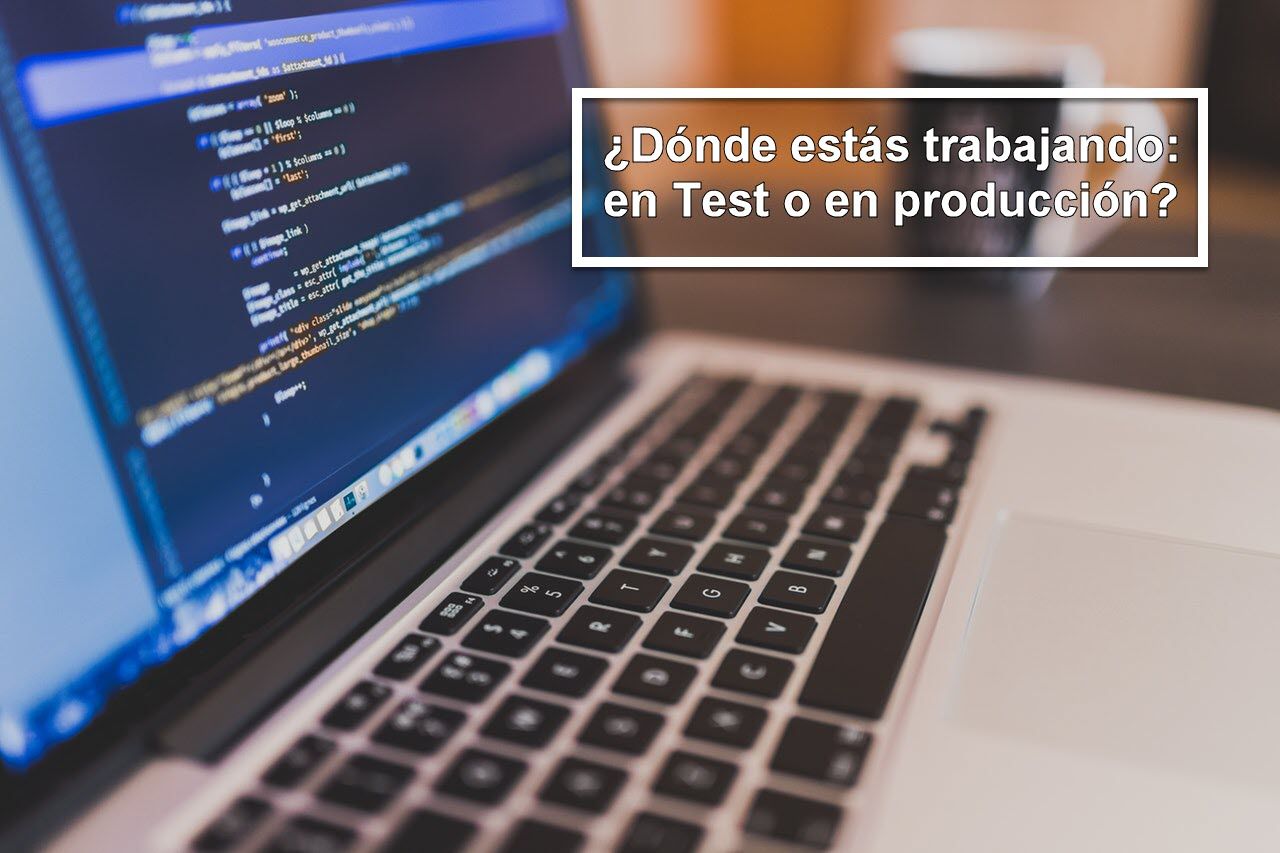 entorno test dynamics nav