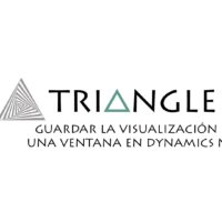 Guardar la visualización de una ventana en Dynamics NAV