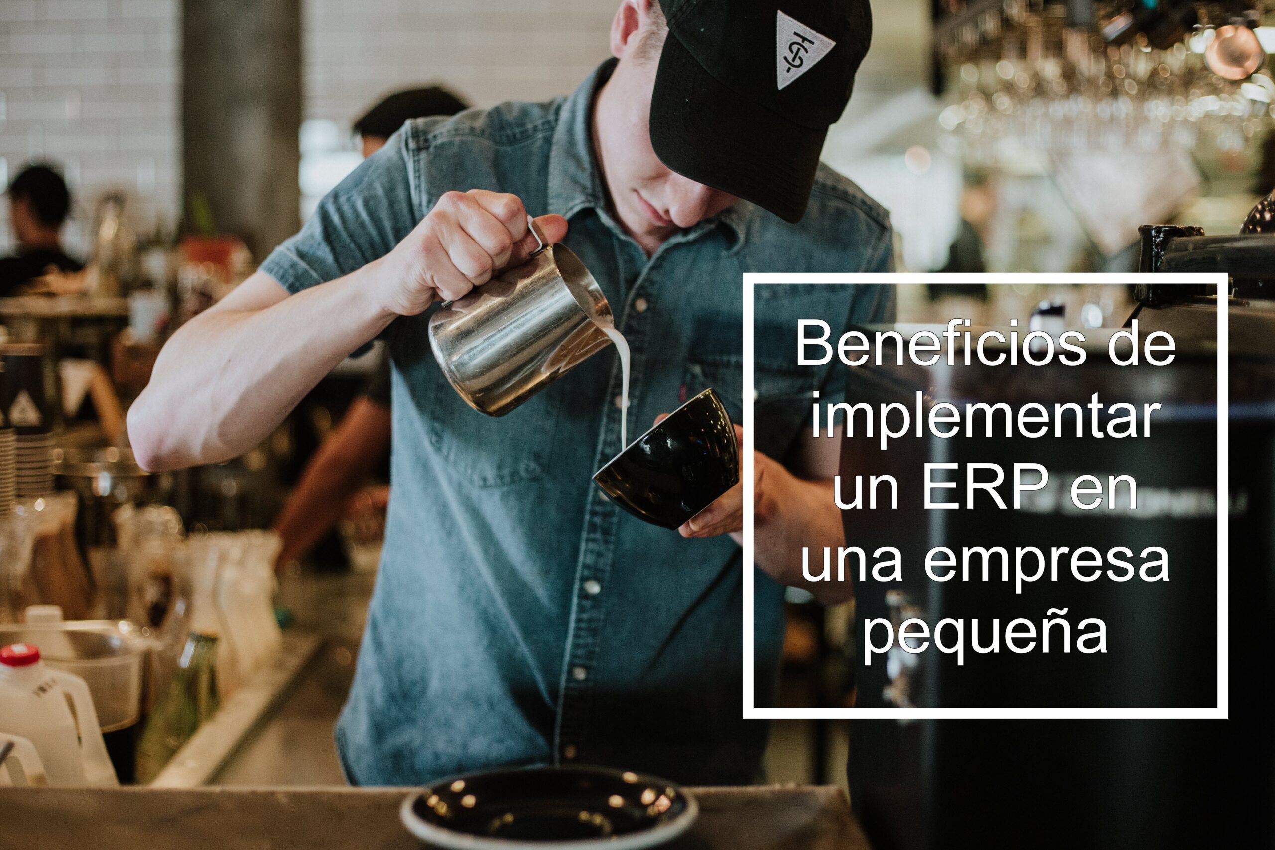 ERP para pequeñas empresas