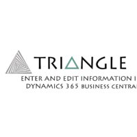 Enter Edit Information Dynamics 365 Business Central