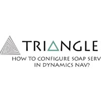 Soap Services Dynamics NAV cover 2