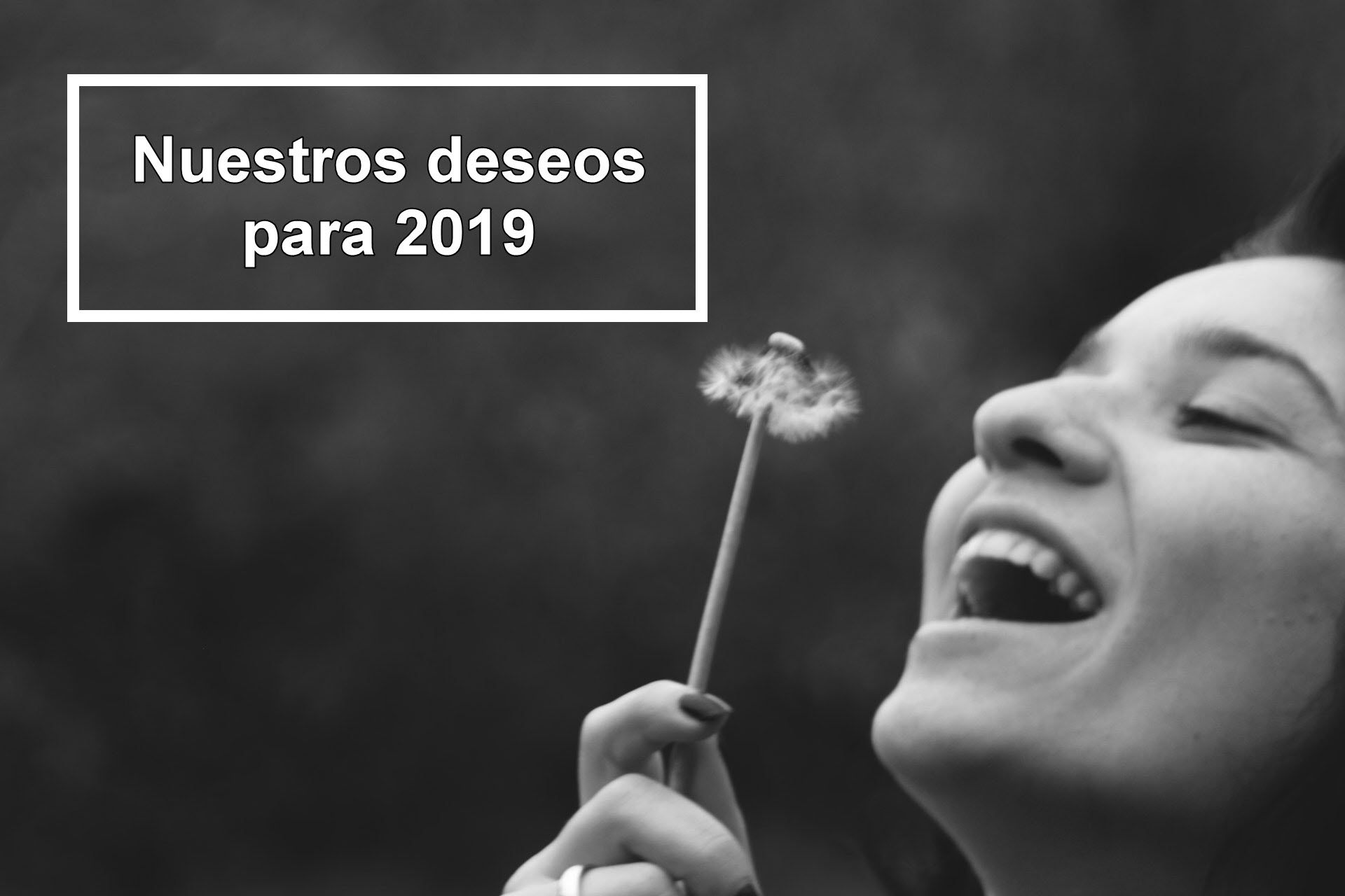 Deseos 2019
