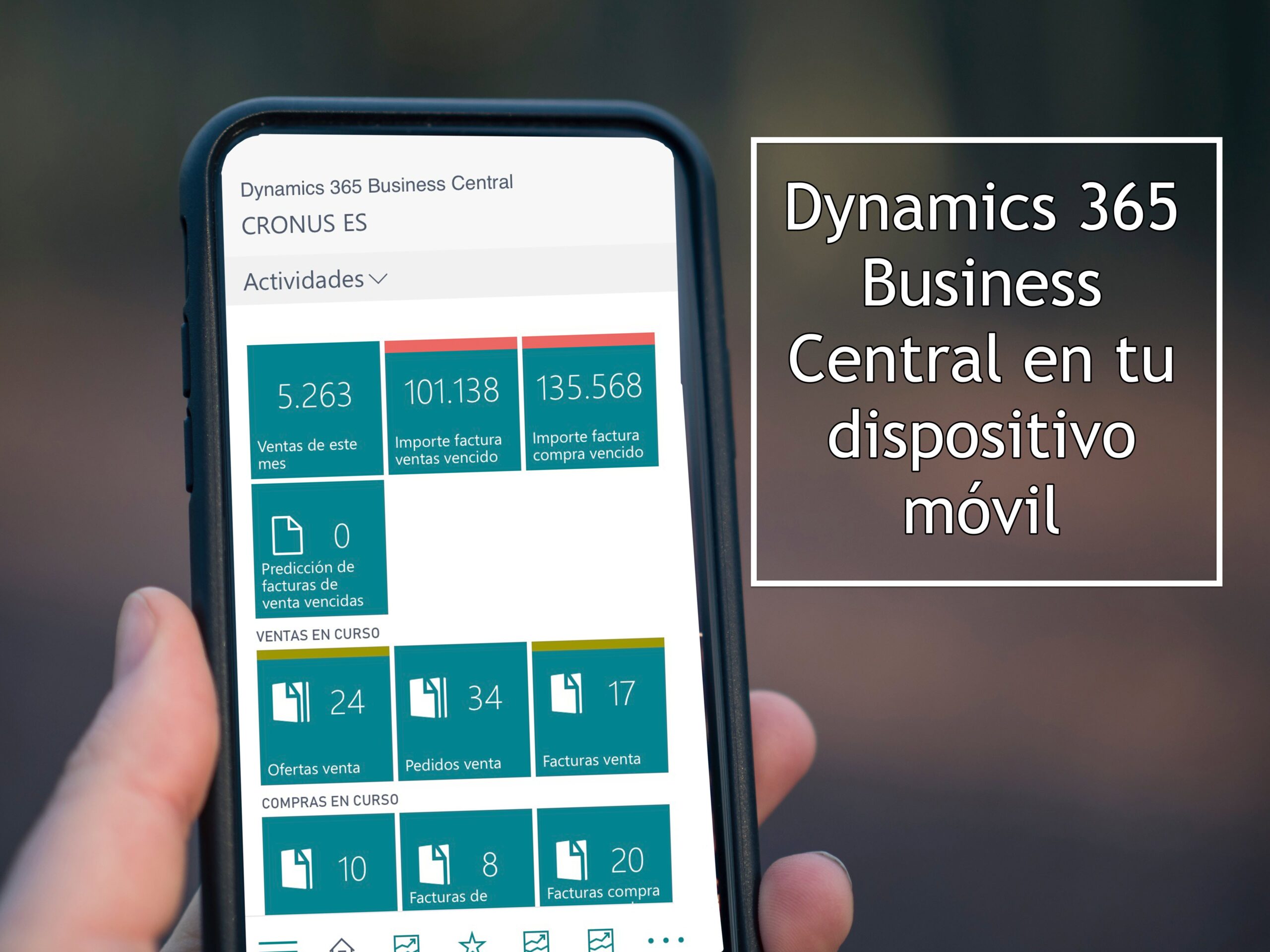 Dynamics 365 Business Central movil