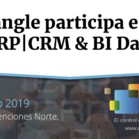 ERP_CRM_BI_Triangle